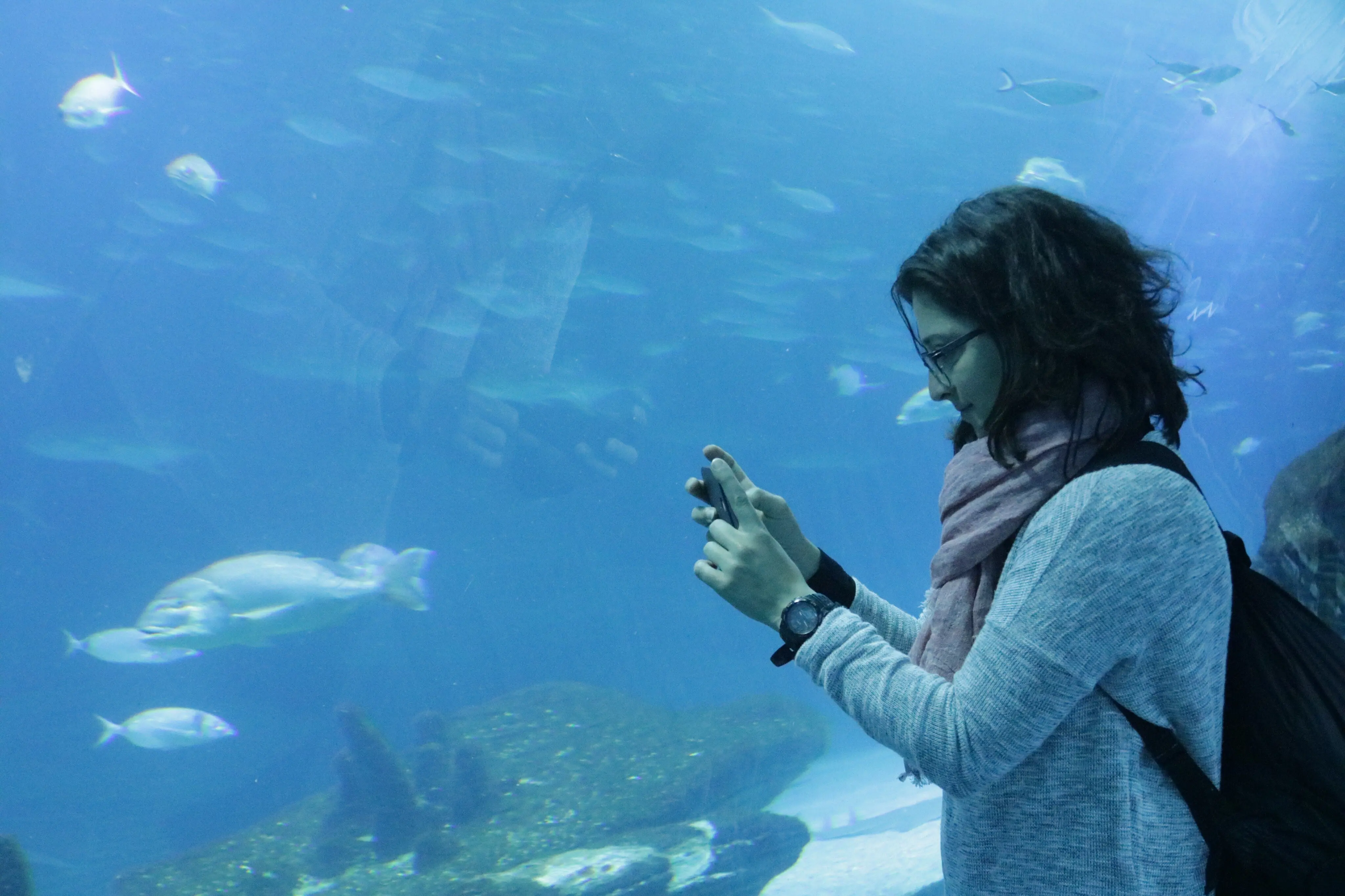 Seitenansicht einer Frau mittleren Alters mit Rucksack, die Fische in einem Aquarium fotografiert.